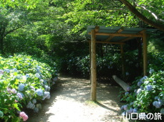 �d���̋��̎��z�ԃ��[�h