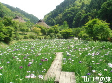 �d���̋��̉ԏҊ���