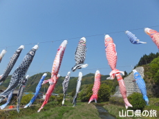 ���n��̌�̂ڂ�