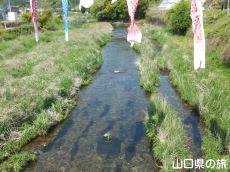 ���n��̌�̂ڂ�