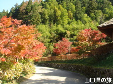 �d���̋��̍g�t