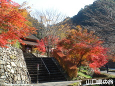 �d���̋��̍g�t