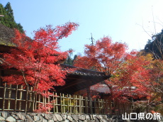 �d���̋��̍g�t