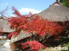 �d���̋��̍g�t