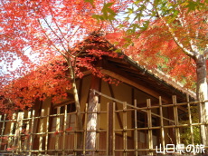 �d���̋��̍g�t