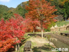 �d���̋��̍g�t