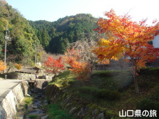 �d���̋��̍g�t