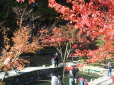 �d���̋��̍g�t