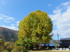 �����Ђ̑�C�`���E