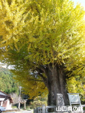 �����Ђ̑�C�`���E