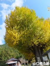 �����Ђ̑�C�`���E