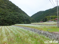 �d���̋�������