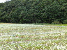 �d���̋�������