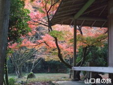 華山神上寺の紅葉