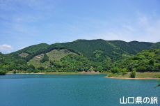 青龍湖