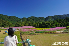 W]䂩璭߂RXX