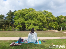��I�̃N�X�̐X