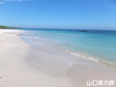 角島大浜海水浴