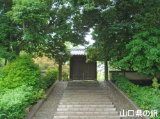 �����j�Ռ���