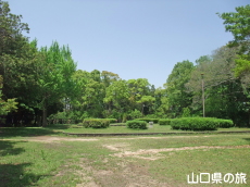 �����j�Ռ���