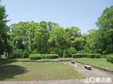 �����j�Ռ���