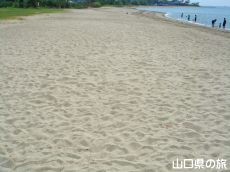 ���y�C������̍��l