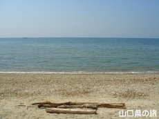 ���y�C������