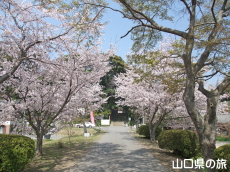 ���S��̍�