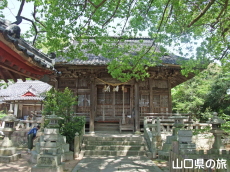 ���蔪���{�̃N�X�m�L