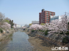 �^��������̍�