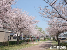 �^��������̍�