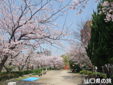 �^��������̍�