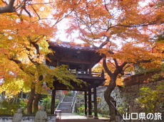 ���}���̍g�t