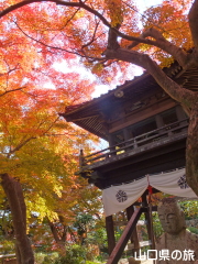 ���}���̍g�t