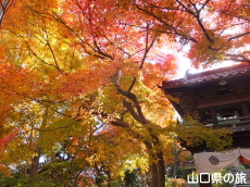 ���}���̍g�t