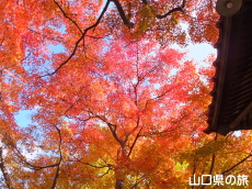 ���}���̍g�t