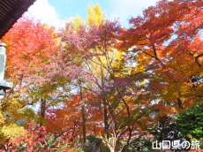 ���}���̍g�t