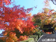 ���}���̍g�t