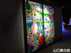 ペリカンとハクチョウ