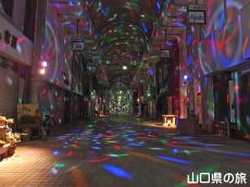 �n�~���O���[�h�V�V��