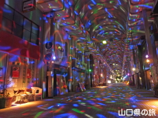 �n�~���O���[�h�V�V��