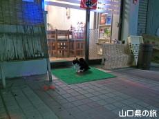 �n�~���O���[�h�V�V���̔L