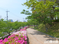 ���������̂�