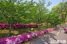 ���������̂�