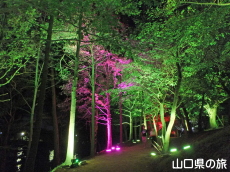 ときわ公園・呼応する森