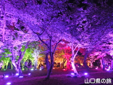 ときわ公園・呼応する森2016