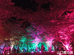 ときわ公園・呼応する森2016