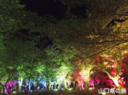 ときわ公園・呼応する森2016