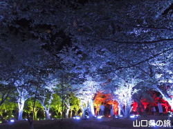 ときわ公園・呼応する森2016