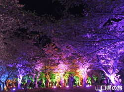 ときわ公園・呼応する森2016